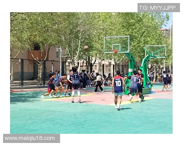 实时新闻权威发布篮球比赛经验与实力综合评估榜单揭晓